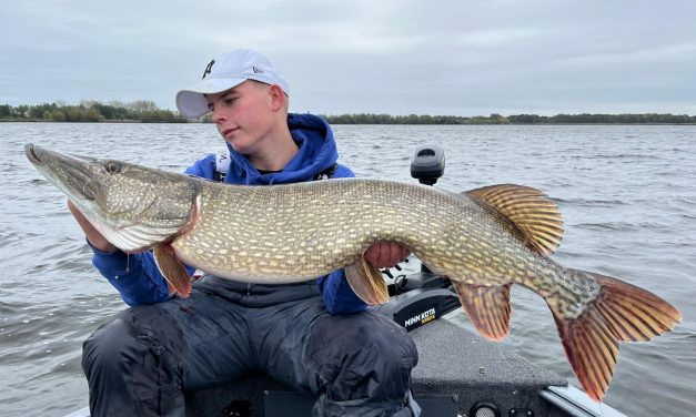 Kunstaas estafette – Top 3 kunstaas voor snoek van Mike Latdorp