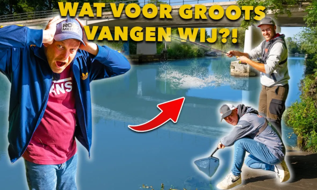 ***VIDEO*** Zulke GROTE SNOEKBAARZEN hadden we nooit verwacht op dit KLEINE WATER!!!