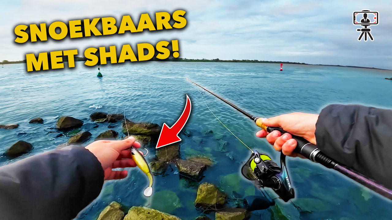 ***VIDEO*** Zo vang je MEER SNOEKBAARS vangen VANAF DE KANT op de RIVIER!