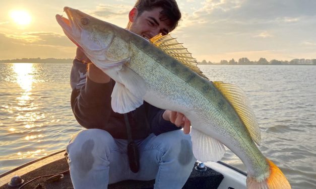 Zo vang jij snoekbaars in de zomer! – Alles over softbaits en hardbaits