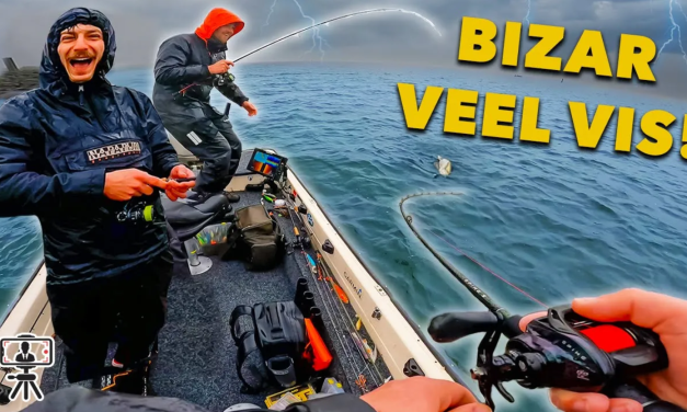 *** VIDEO *** VEEL REGEN zorgt voor EXTREEM VEEL VIS!