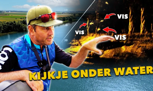 ***VIDEO*** Zo heeft de ONDERWATERWERELD NUL GEHEIMEN voor JOU