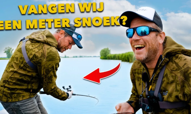 ***VIDEO*** Wij gaan op jacht naar GROTE METERSNOEK met MUIZEN!