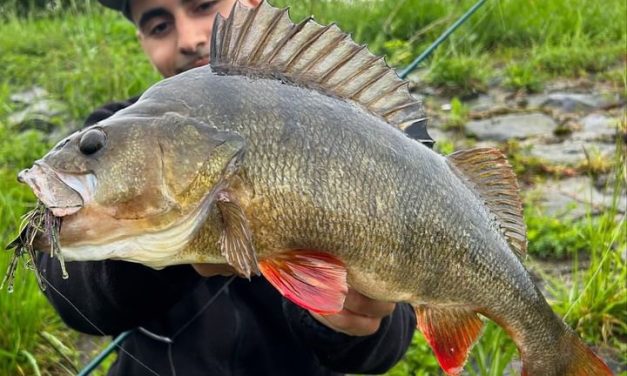 Een chatterbait met speciale kwaliteiten