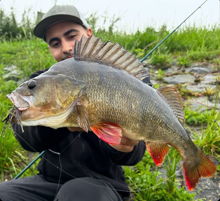 Een chatterbait met speciale kwaliteiten