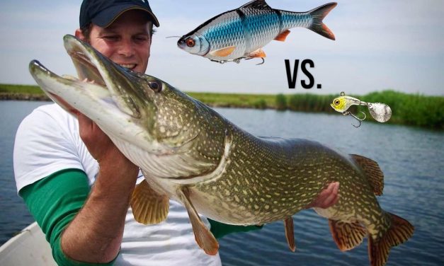 GROOT VS KLEIN kunstaas voor grote snoek – Wat werkt NU beter?