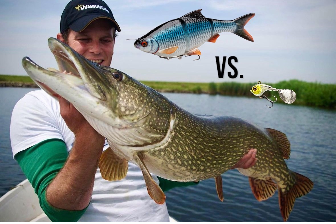 GROOT VS KLEIN kunstaas voor grote snoek – Wat werkt NU beter?