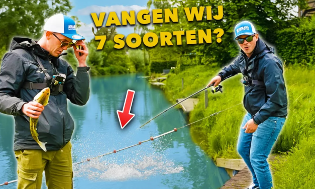 ***VIDEO*** VANGEN wij 7 SOORTEN in 2 DAGEN vanaf de KANT?