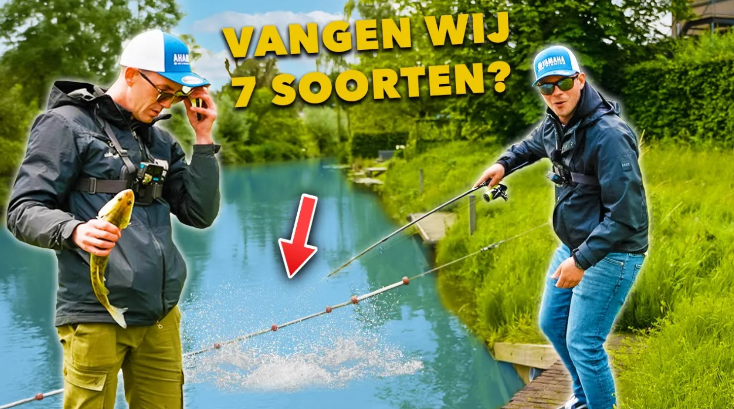 ***VIDEO*** VANGEN wij 7 SOORTEN in 2 DAGEN vanaf de KANT?