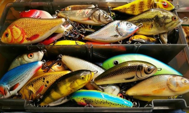 De Salmo classics – Onmisbare hardbaits voor elke visser!