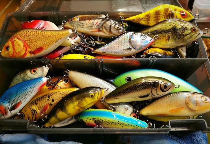 De Salmo classics – Onmisbare hardbaits voor elke visser!