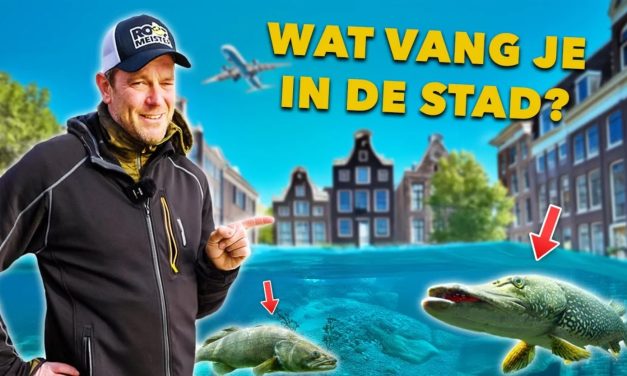***VIDEO*** VANG meer ROOFVIS in de STAD met deze STREETFISHING TIPS & TRICKS!
