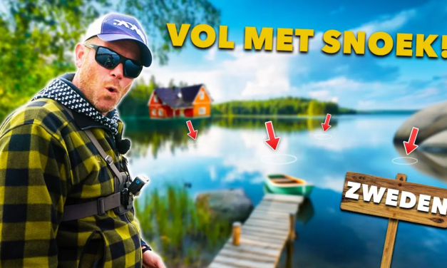 ***VIDEO*** Wij ZAGEN nog NOOIT zoveel SNOEK bij ELKAAR!