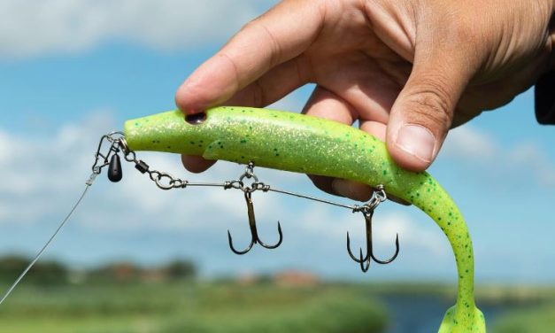 Maak je softbaits hufter proof met deze oersterke rig!