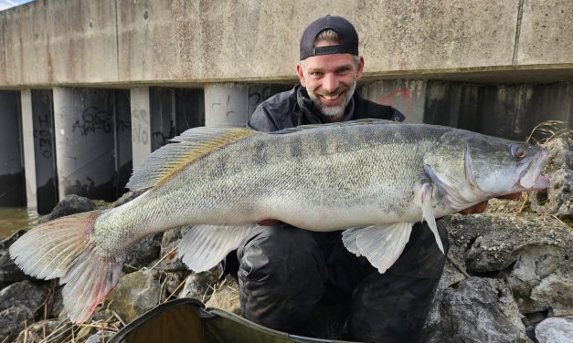De MAKKELIJKSTE manier om ENORME snoekbaarzen te vangen!