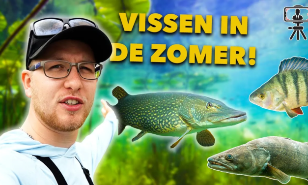 ***VIDEO*** TIPS & TRICKS om ROOFVIS te vangen in de ZOMER!