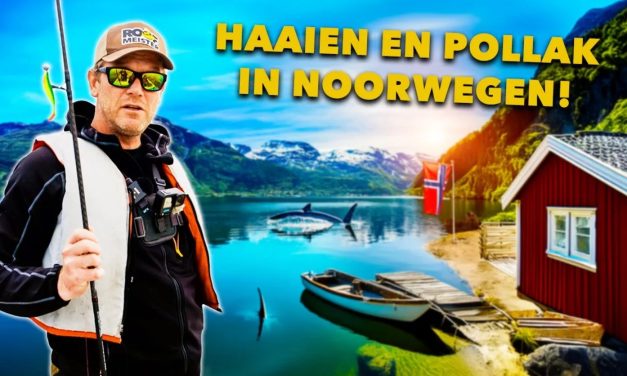 ***VIDEO*** Wij VANGEN 1.000 (!) roofvissen in 6 DAGEN!