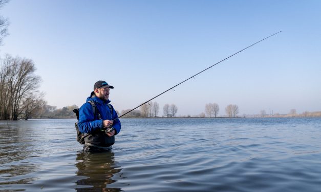 Dit zijn de drie beste hengels voor de Carolina rig!