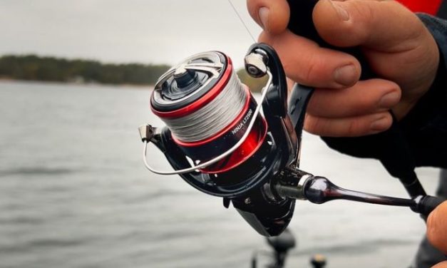 Met deze complete set kun jij perfect vissen op snoekbaars vanaf de kant!