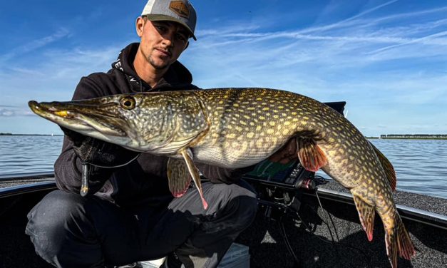Roofmeister INSIDE: Veelvoud aan 2 meter+ meerval, 127 cm snoek en foute polder kick off