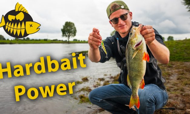 ***VIDEO*** ALLES over VISSEN met HARDBAITS vanaf de KANT!