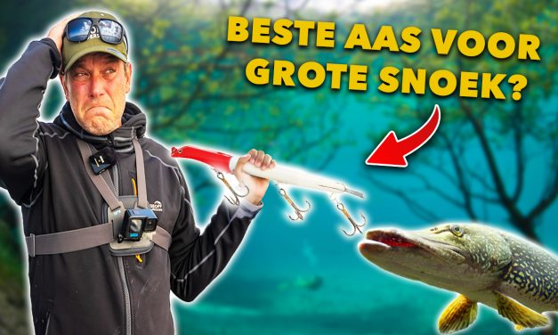 ***VIDEO*** Leer ALLES over het VISSEN met JERKBAITS op SNOEK!