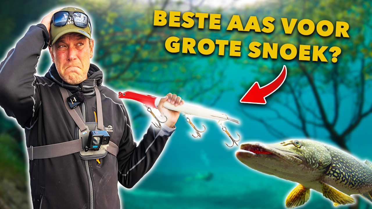 ***VIDEO*** Leer ALLES over het VISSEN met JERKBAITS op SNOEK!