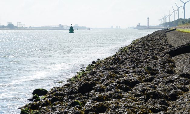 Nieuwe plannen Rijkswaterstaat – Een vloek of een zegen!