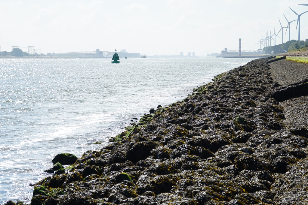 Nieuwe plannen Rijkswaterstaat – Een vloek of een zegen!