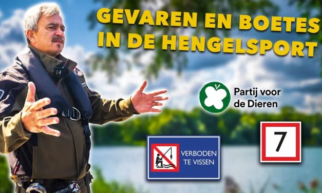 ***VIDEO*** Als je DIT DOET kom je AMERIKA NOOIT MEER IN!