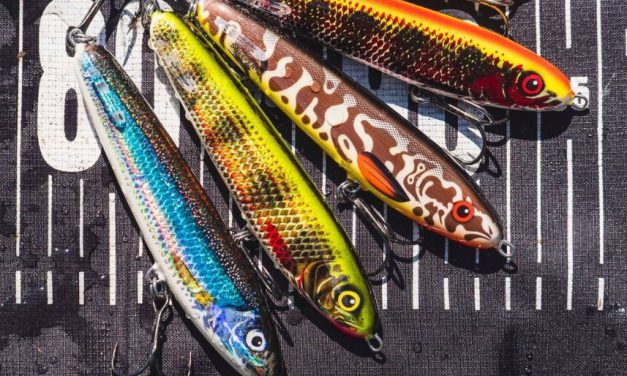 Deze VIER jerkbaits gaan jou meer snoek opleveren!