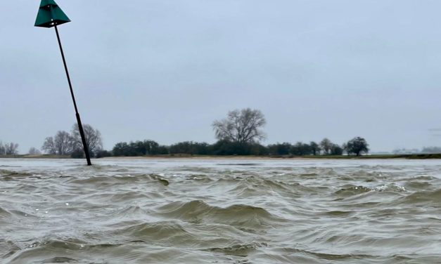 Dit zijn VIER tips voor het vissen in troebel water