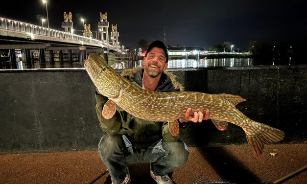 Roofmeister INSIDE: Je kunt altijd 6 gooien, 130 cm snoek & actuele vangsten