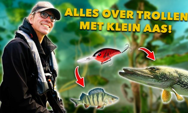 ***VIDEO*** DIT doet NIEMAND tijdens het TROLLEN en ZO VANG je meer VIS!