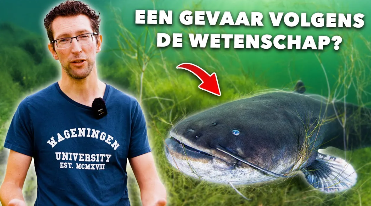 ***Wij VANGEN MEERVAL voor een ONDERZOEK en LEREN jou ALLES over deze MONSTERS!***