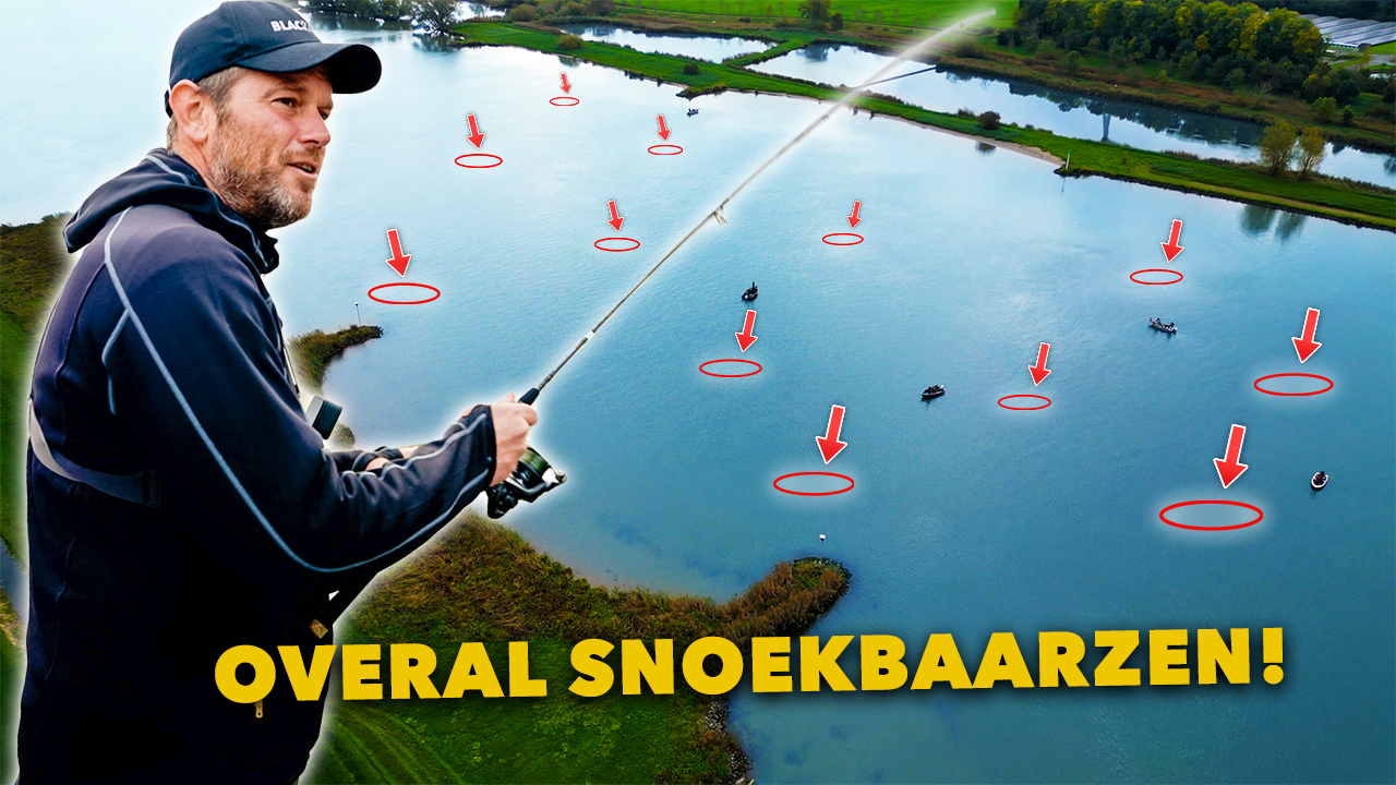 ***VIDEO*** Hier zwemmen DUIZENDEN SNOEKBAARZEN bij ELKAAR