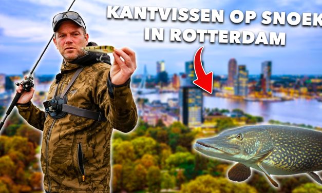 ***VIDEO*** VISSEN in de STAD op SNOEK met JERKBAITS!