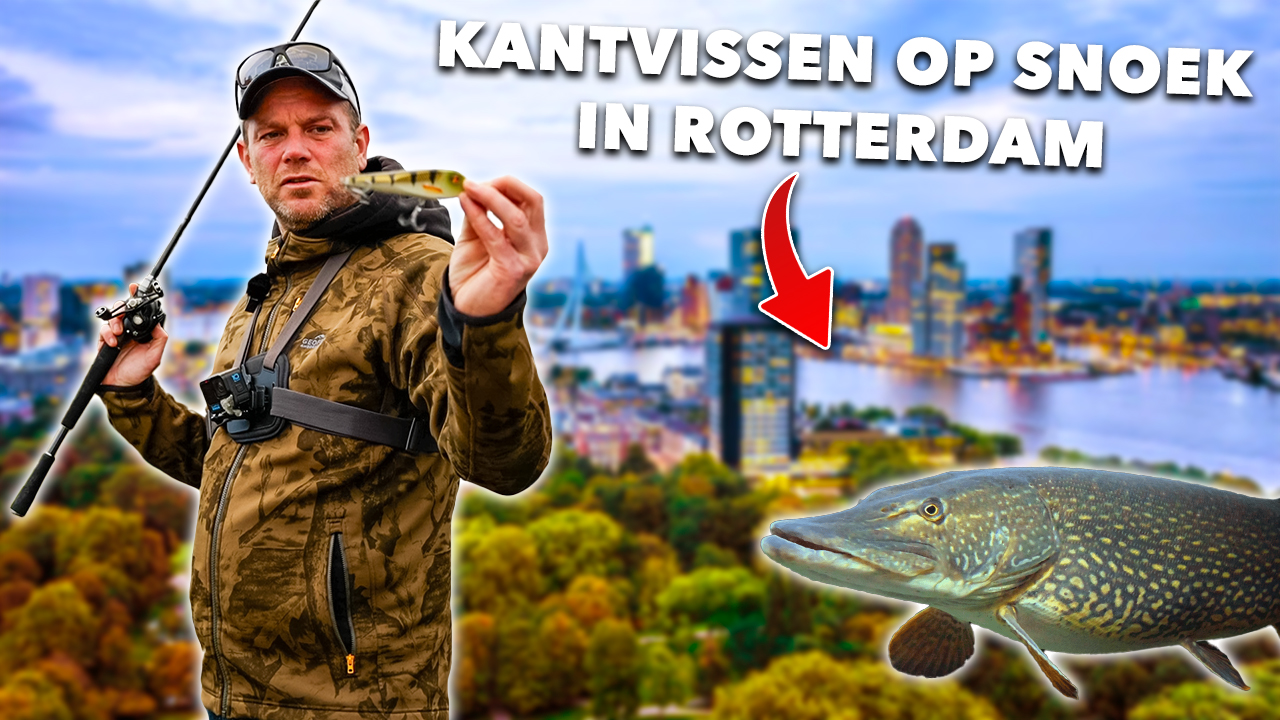 ***VIDEO*** VISSEN in de STAD op SNOEK met JERKBAITS!