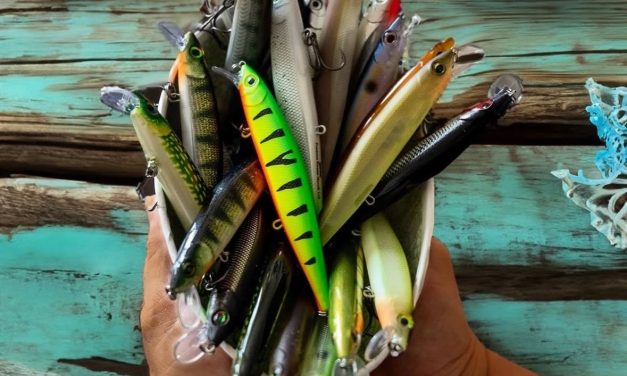 Twitchbaits – De winter killers voor roofvis!