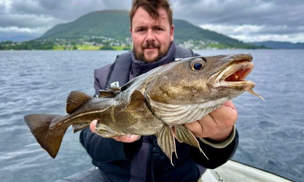Fjorden, vikingen en gigantische vissen – Jouw visvakantie in 2025!