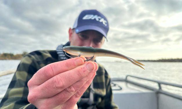 Nieuwe techniek voor snoek, je eigen topstek creëren & ‘slimme’ vissen