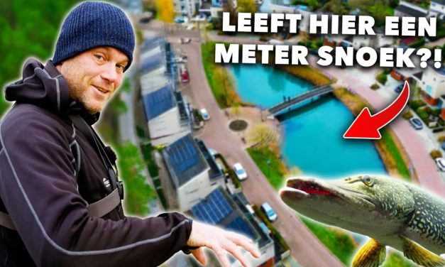 ***VIDEO*** VANGEN wij na 15 jaar DEZELFDE SNOEK?!