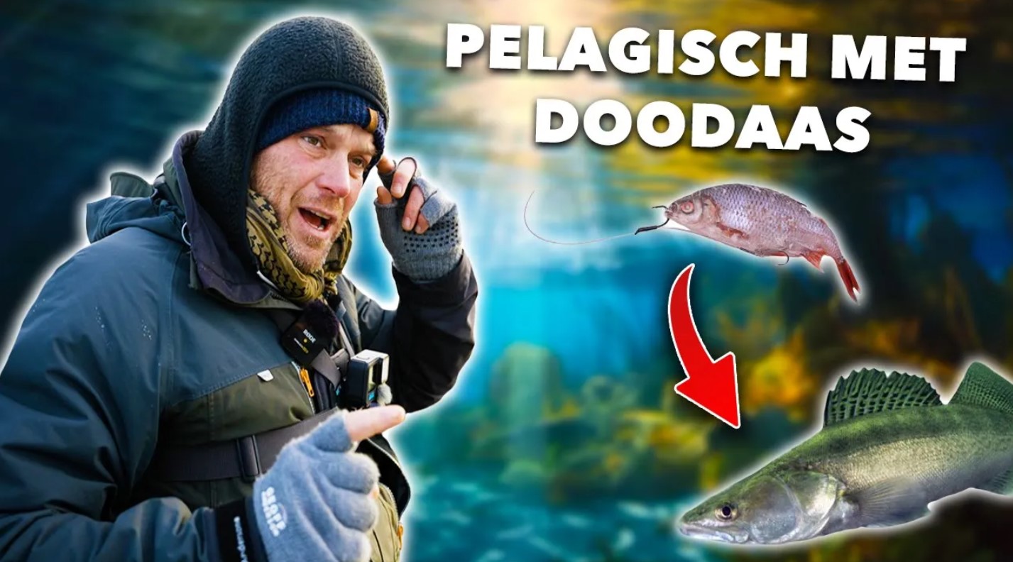 ***VIDEO*** Nieuw GEHEIM WAPEN voor GROTE SNOEKBAARS!
