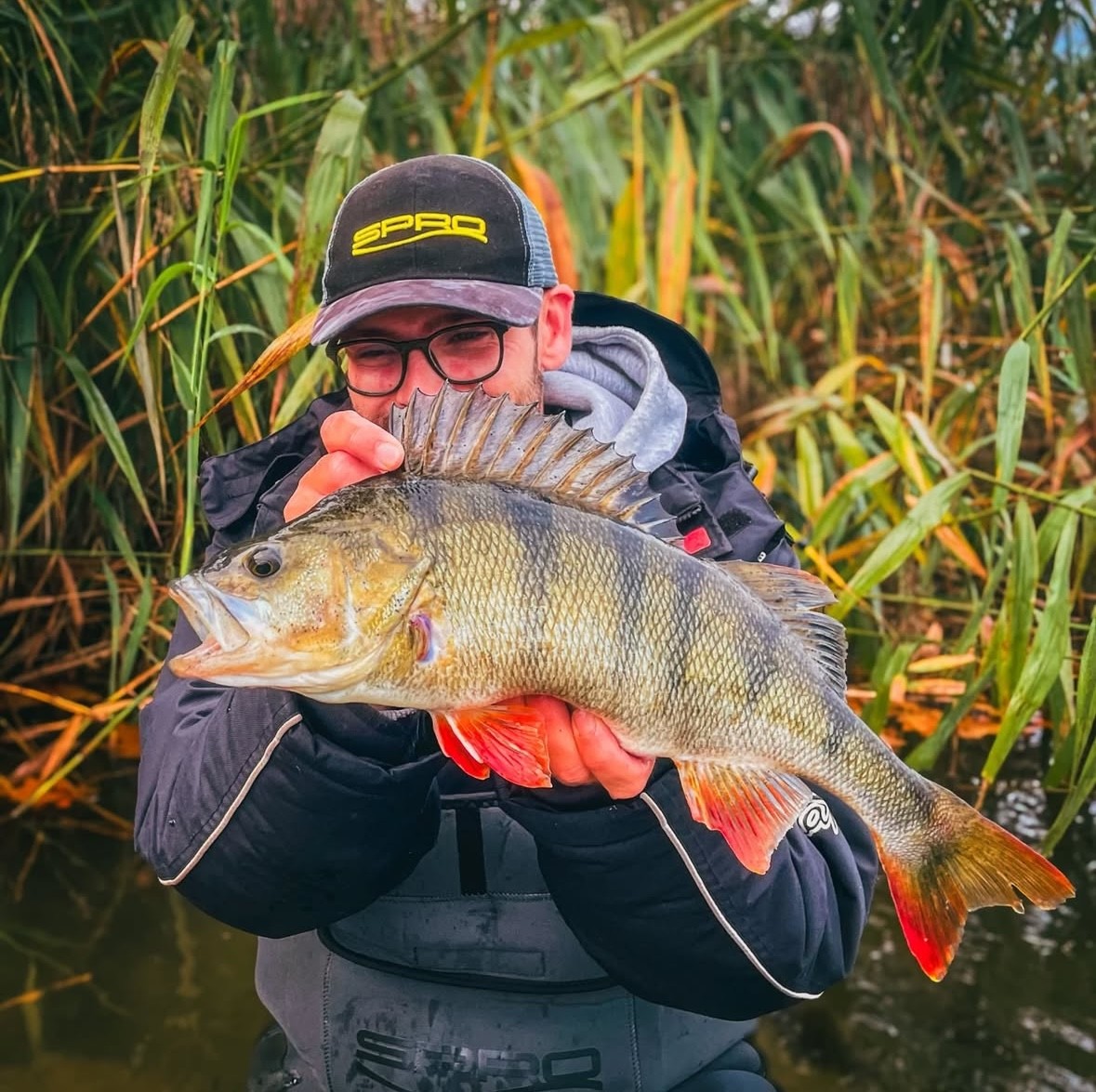 Deze creaturebaits kun jij perfect gebruiken voor de Carolina rig!