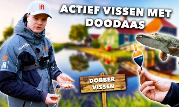 ***VIDEO*** ZO vis je ACTIEF met DOOD AAS en DOBBERS in een WOONWIJK!