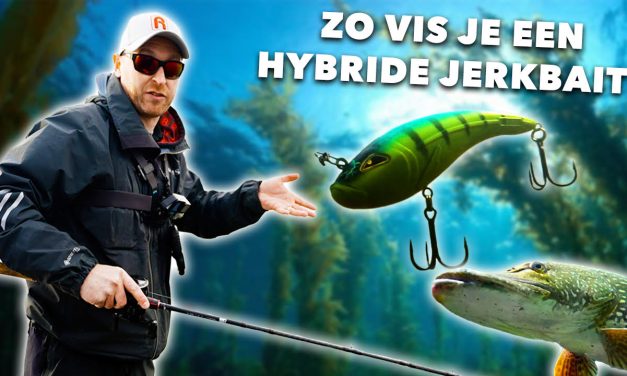 ***VIDEO*** Op GROTE SNOEKEN JACHT met HYBRIDE JERKBAITS!