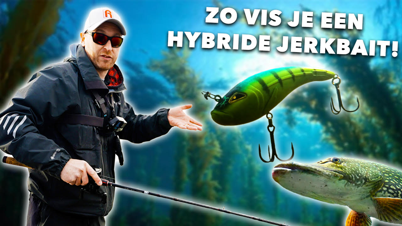 ***VIDEO*** Op GROTE SNOEKEN JACHT met HYBRIDE JERKBAITS!