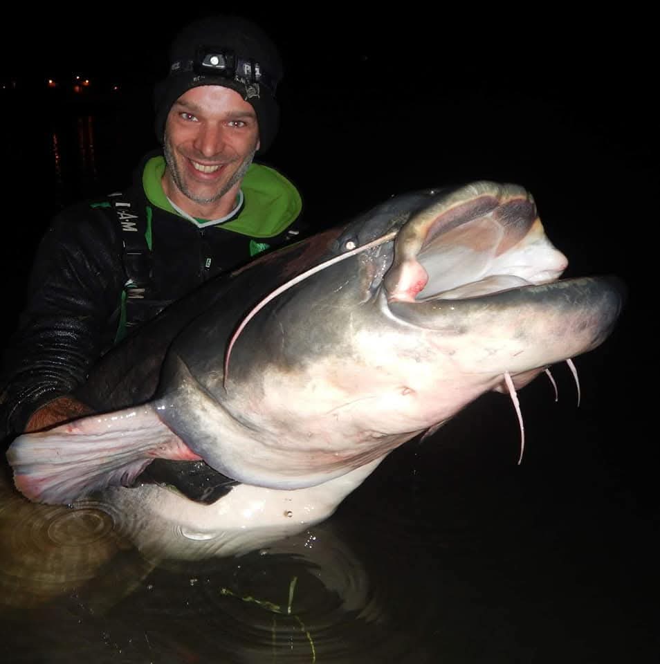 Big game in de winter – Zo vang jij nu meervallen!