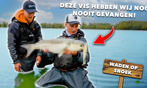 ***VIDEO*** BIZARRE VANGST tijdens het WADEN op SNOEK!