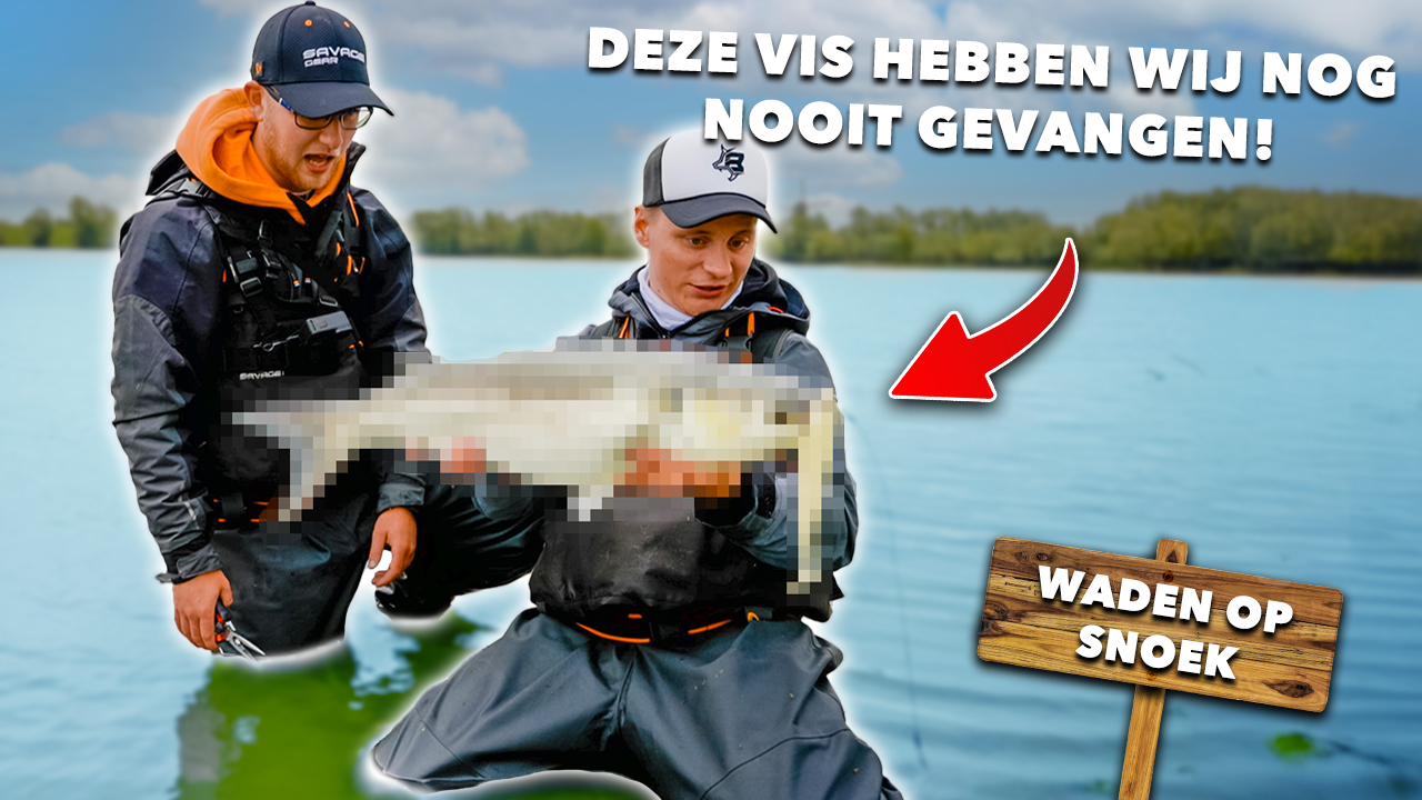***VIDEO*** BIZARRE VANGST tijdens het WADEN op SNOEK!